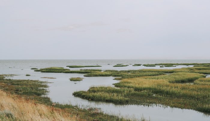 Walk of Grief (photo Isabelle Renate la Poutre)-232