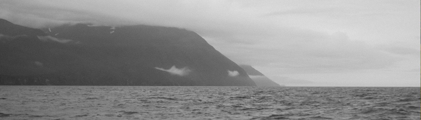 Isabelle Renate la Poutré