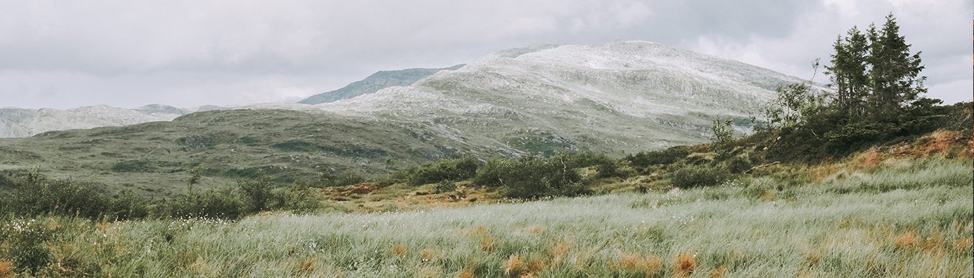 Isabelle Renate la Poutré